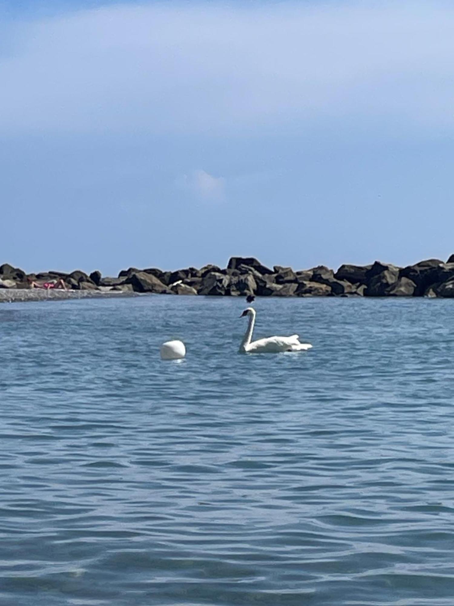 Appartamento Casa Aiga Marina Ventimiglia Esterno foto